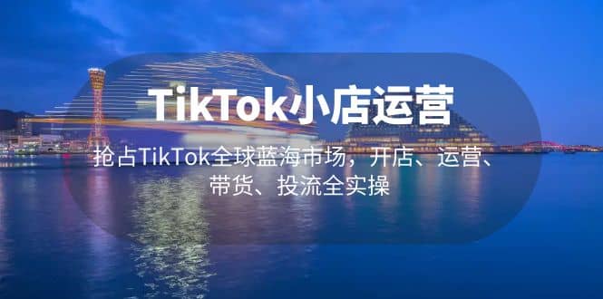 TikTok小店运营 抢占TikTok全球蓝海市场，开店、运营、带货、投流全实操-梧桐生花