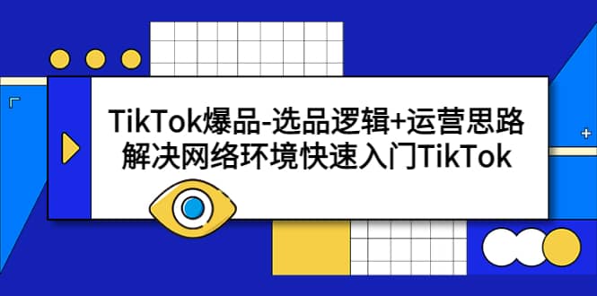 TikTok爆品-选品逻辑 运营思路：解决网络环境快速入门TikTok-梧桐生花