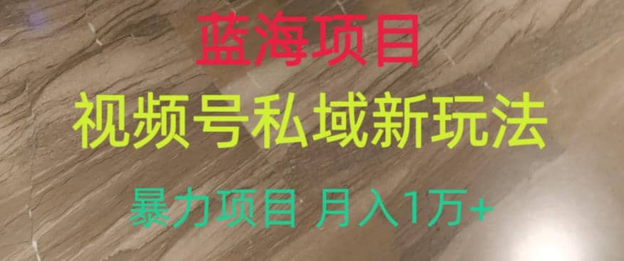 蓝海项目，视频号私域新玩法，暴力项目月入1万 【揭秘】-梧桐生花