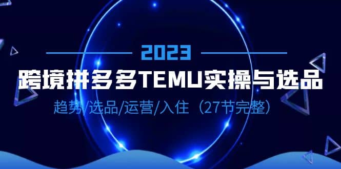 2023跨境·拼多多·TEMU实操与选品，趋势·选品·运营·入住（27节完整）-梧桐生花