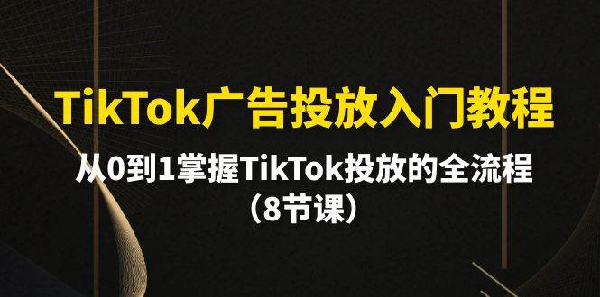 TikTok广告投放入门教程，从0到1掌握TikTok投放的全流程（8节课）-梧桐生花